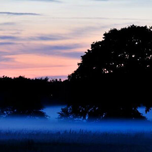 Nebel DSC 5547 01