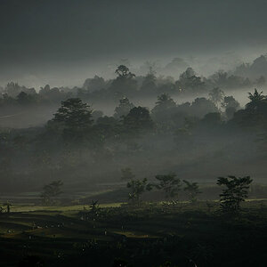 11 06 04Istiqlal0067