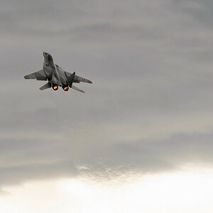 MiG-29 Fulcrum A 08
