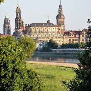 DSC 0168
