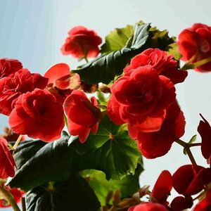 DSC 0028