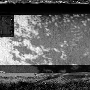Haus Kopasz mit Schatten
