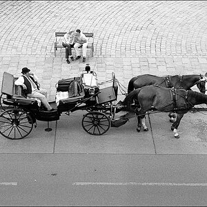 New Wien 20110612 157