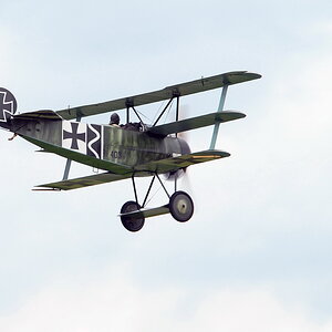 Fokker Dr.I 11