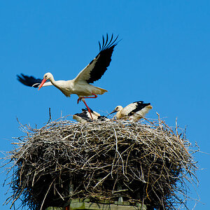 Ready for take off
