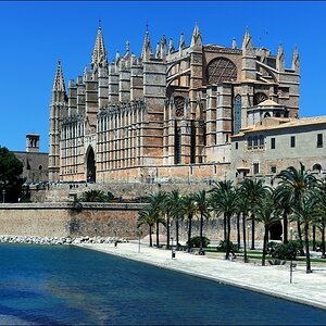 La Seu Palma - 05/2011 - 1