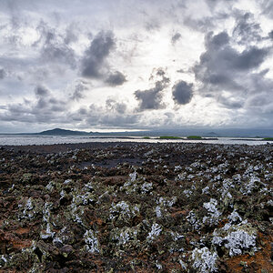 Isla_Isabela