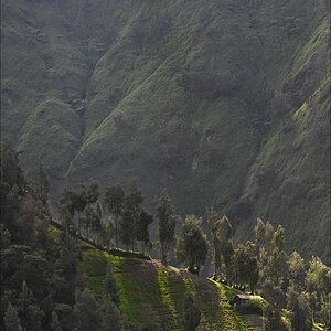 acomp indonesia 20110619 17880