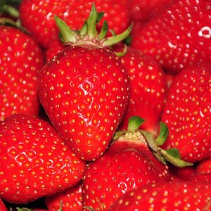 So schmeckt der Sommer!