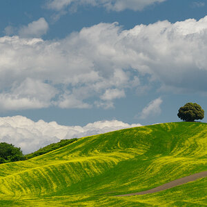 Val d'Orcia