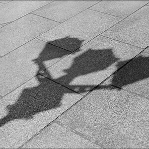 New Daily 20110509 022