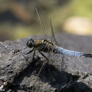 20110613 DSC 0046