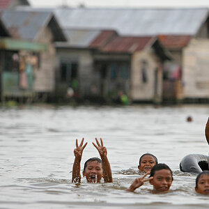 11 06 11Borneo001296