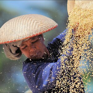 acomp indonesia 20110607 01846