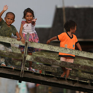 11 06 11Borneo001404