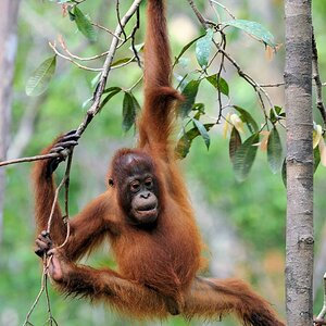 indonesia 20110614 13761