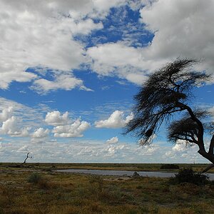 botswana sky