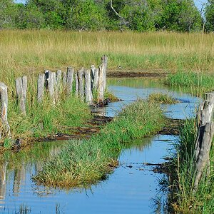 botswana bruecke
