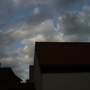 DSC 1929