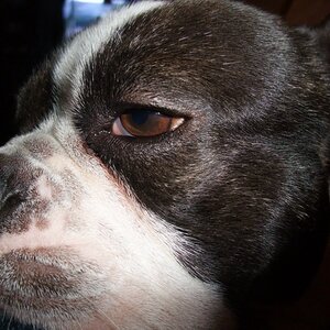Netter Blick
