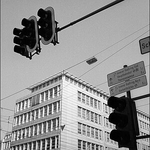 New Daily 20110311 036