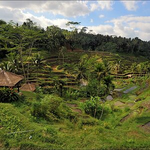 acomp indonesia 20110608 03279