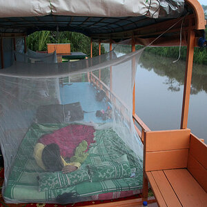 11 06 13Borneo000046