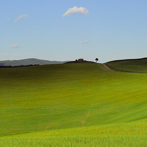 Crete Senesi