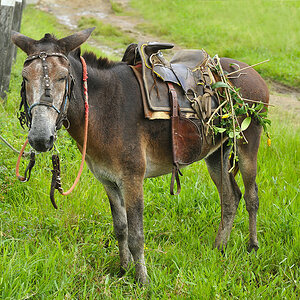 DSC7596 web