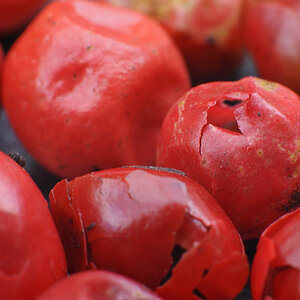 Roter Pfeffer