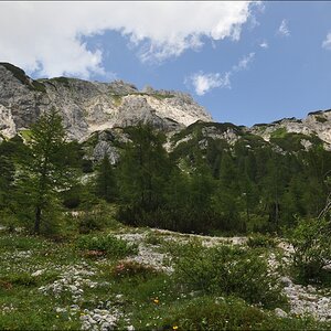 comp Slowenien 196b