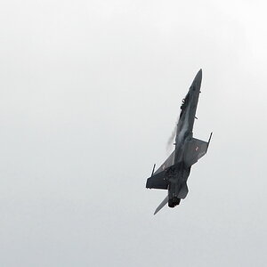 F/A-18 Hornet 01