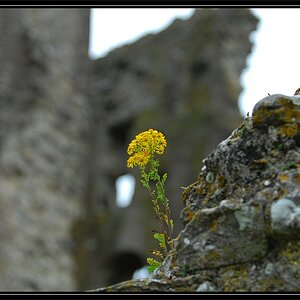corfecastle 3