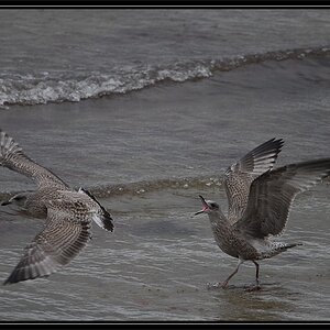 lyme regis 4