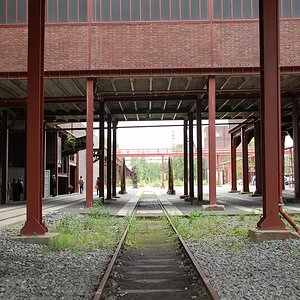 k DSC 6344