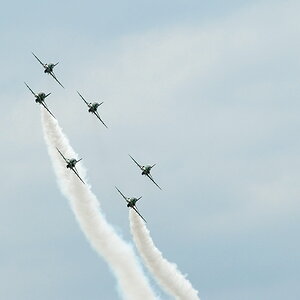 Royal Saudi Hawks 04