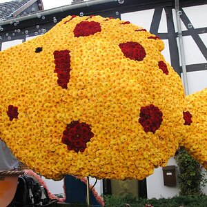 Blumenfisch