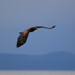 Heriot Bay auf Quadra island