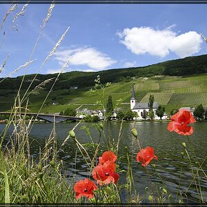 Mosel 1