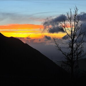 acomp indonesia 20110618 16450