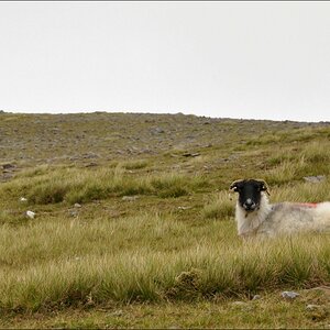 comp Irland2 631b   Bearbeitet