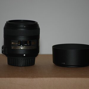 DSC 0920 552vr k

Kamera-Modell: NIKON D40
Brennweite: 200.0mm (KB-Format entsprechend: 300mm)
Blende: f/5.6
Belichtungszeit: 0.017s (1/60)
ISO: 200