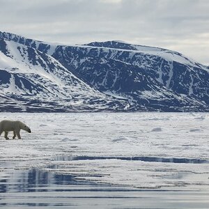 Spitzbergen 2011 JE 04836