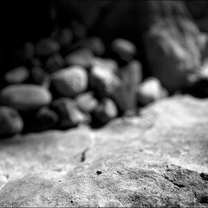 SteineDSC 0068