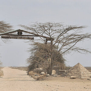Die Einfahrt zum Serengeti Nationalpark
0227