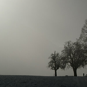 Winterlandschaft 2009 2