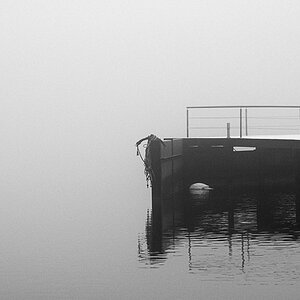schlei1