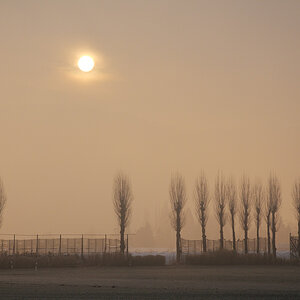 20090205 092534 D3N 7042 Februar