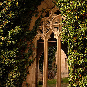 Kloster Bebenhausen bei Tübingen:
Fenster
