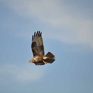 image004